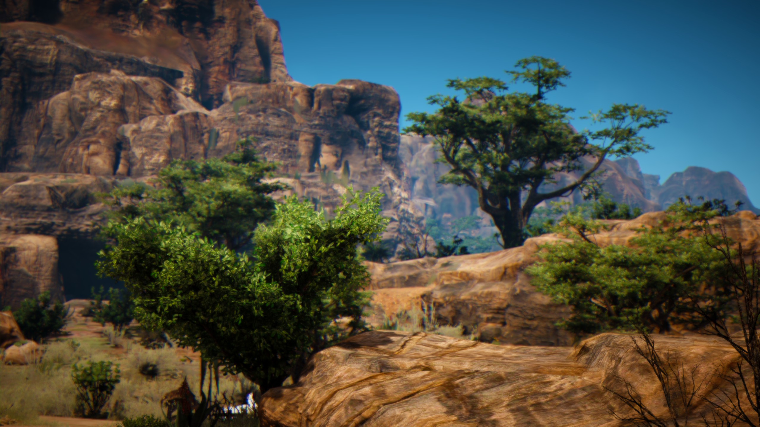 Screen shot from Black Desert online