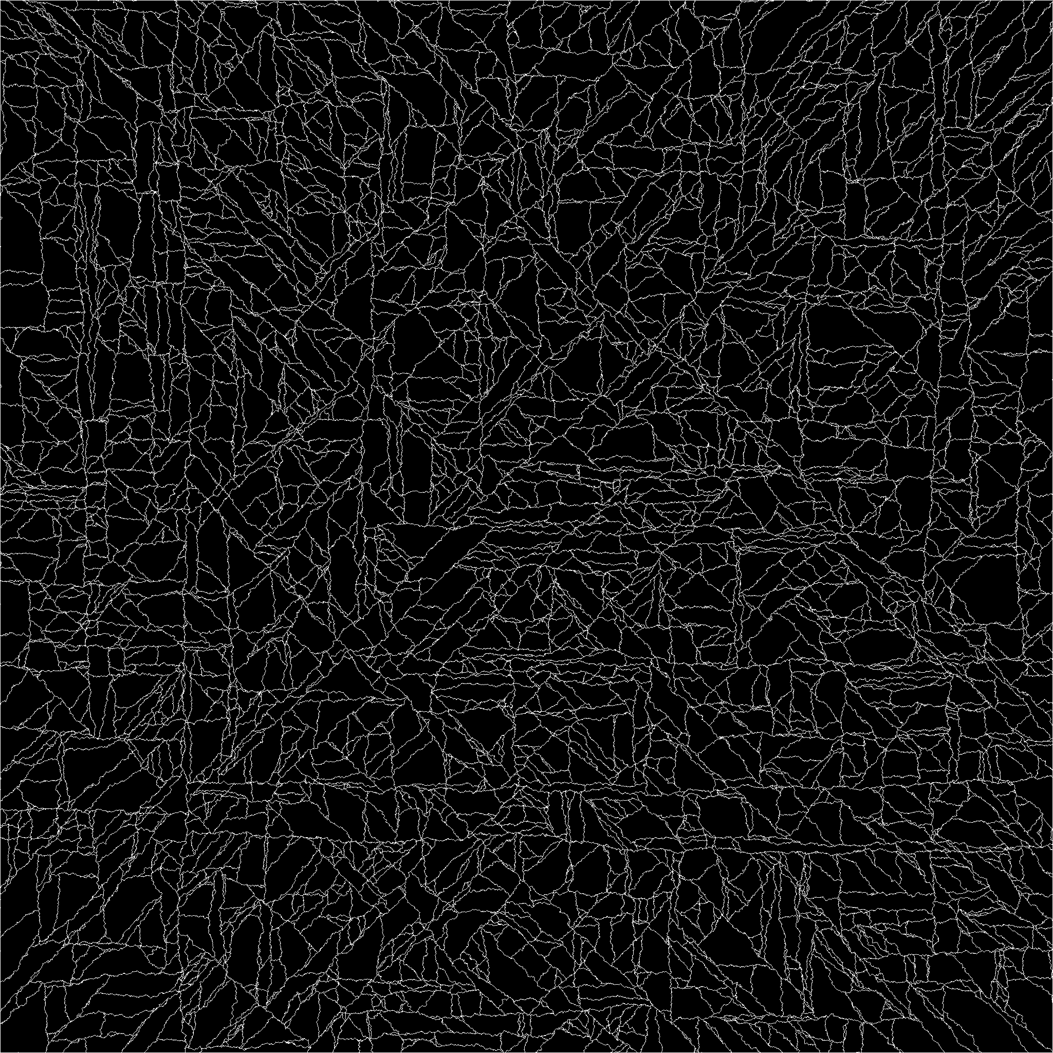 Canyon Lines, a random web of white lines on a black background