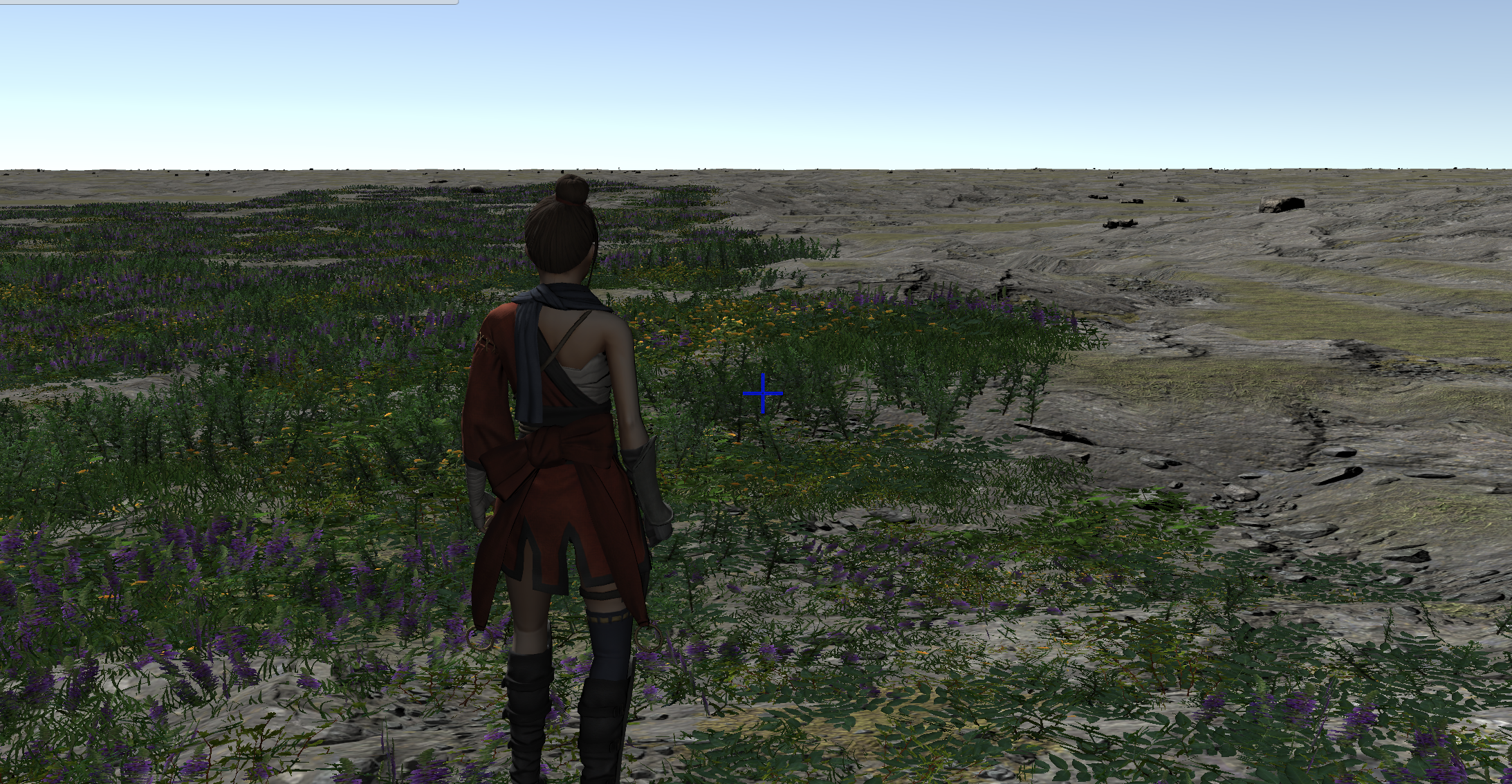 Image showing ground cover ending abruptly in a very straight line right next to the player.